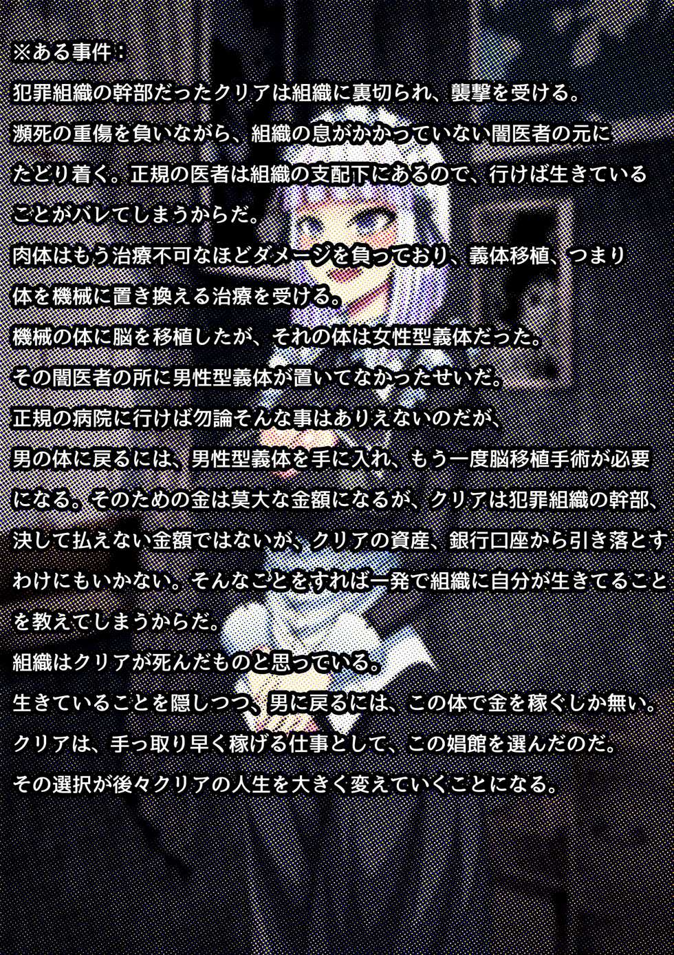 [Tsutakazura Mau Mau (Zassyu 2-gou)] Kikaishiki Nyotaika Choukyou Monogatari - Page 3