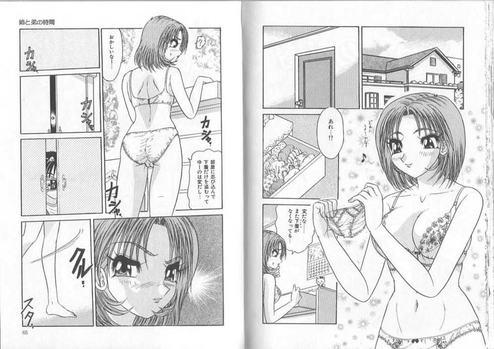 [Harukaze Saki] Ane to Otouto no Jikan - Page 33