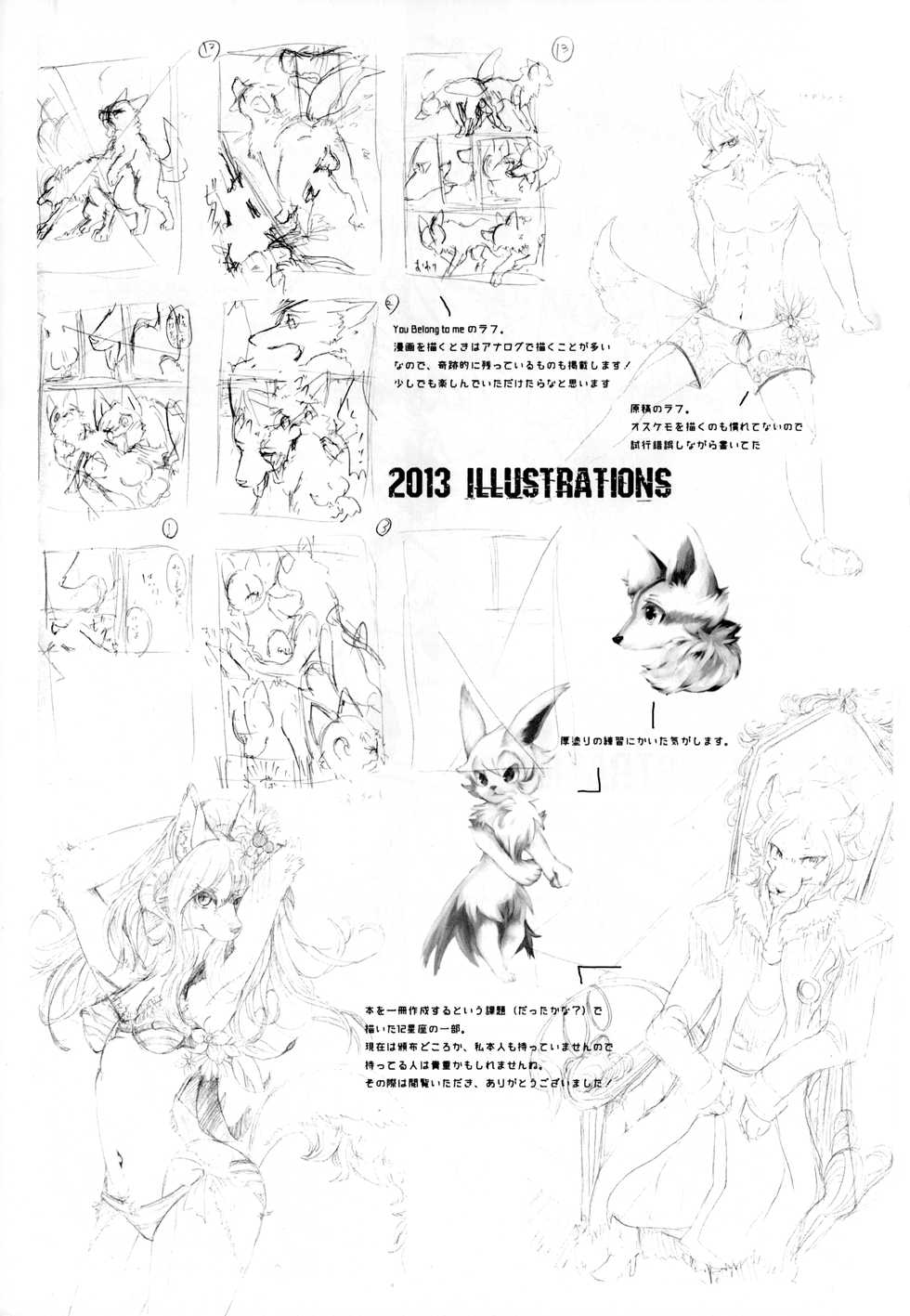 (Shinshun Kemoket 5) [Lomelette (Lassie)] Apocalypse 4 Years 2010-2013 - Page 18