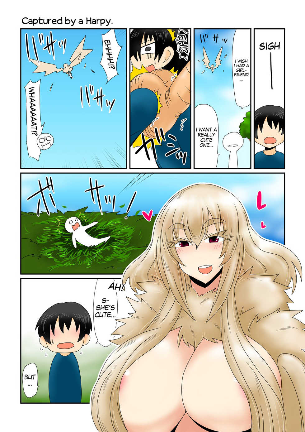 [Hroz] Harpy-san ni Tsukamatte. | Captured By A Harpy. [English] {Erelzen} - Page 1