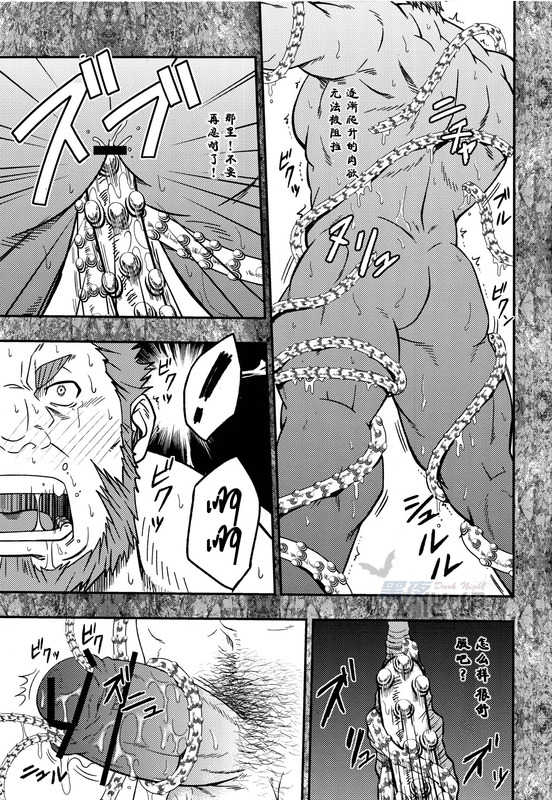 (Yarou Fes 2012) [Rycanthropy (Mizuki Gai)] Easy Rider (Fate/Zero) [Chinese] - Page 14