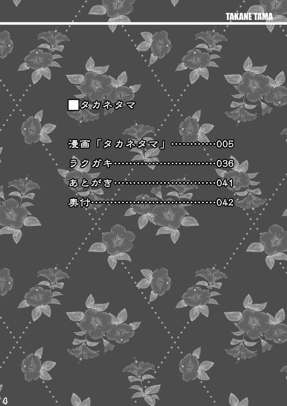 [Shinjugai (Takeda Hiromitsu)] Takane Tama (Sora wo Kakeru Shoujo) [English] [SaHa] [Digital] - Page 3