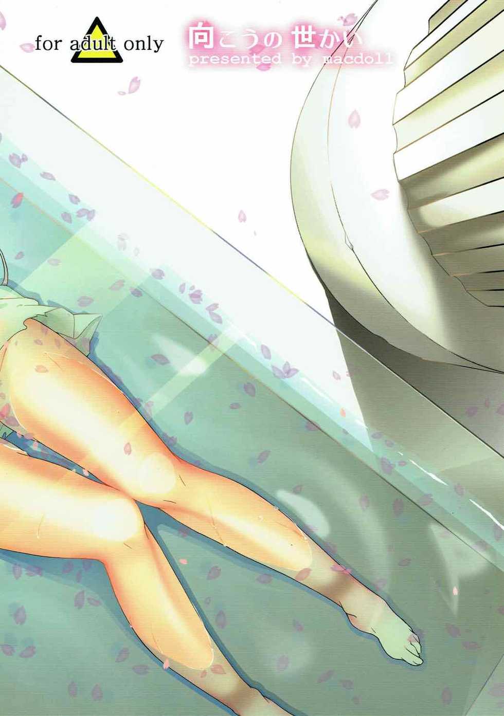 (COMIC1☆7) [macdoll (Shijou Mako)] Mukou no Sekai | The World Beyond (Magi: The Labyrinth of Magic) [English] [Echo-chan] - Page 22