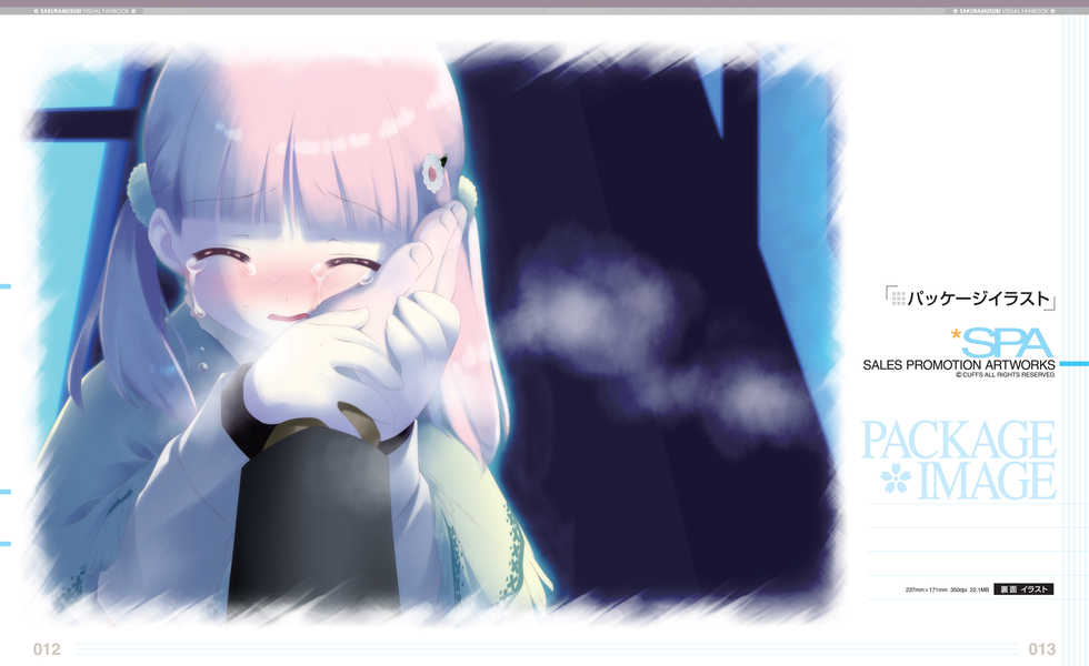 [CUFFS] Sakura Musubi Visual Fanbook [Digital] - Page 11