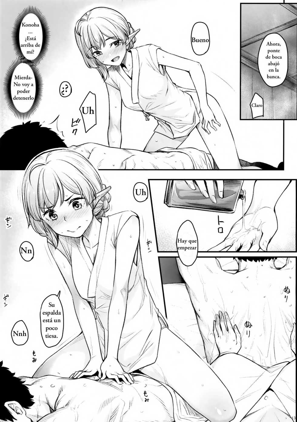 (COMIC1☆15) [Area14 (Kasei)] Elf Refle [Spanish] [Dollcat] - Page 16