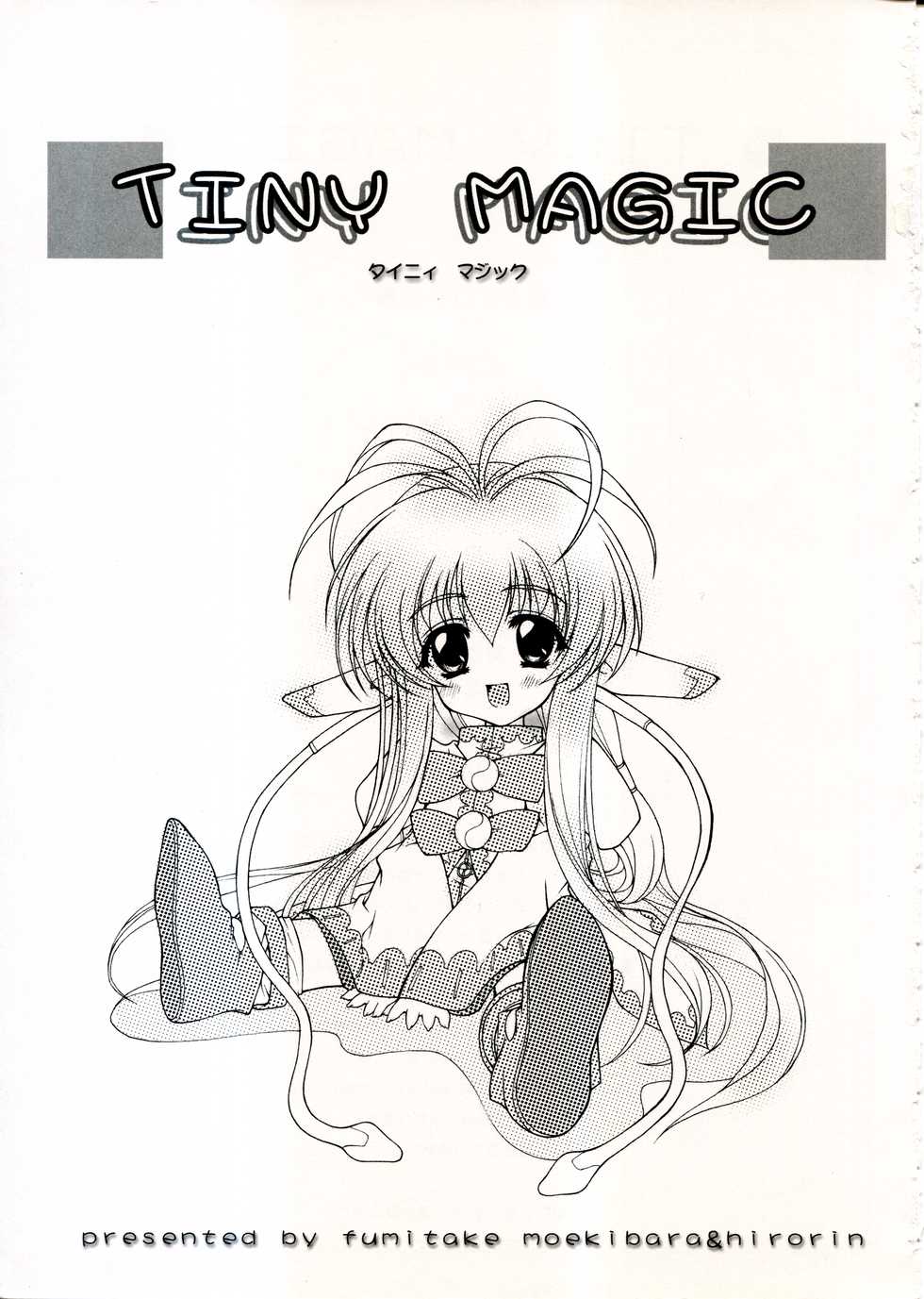 (C58) [ZiP (Moekibara Fumitake)] TINY MAGIC (Shining Sword Romance) - Page 3