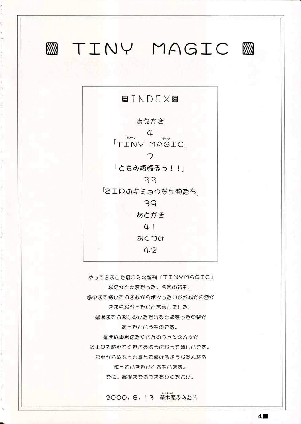 (C58) [ZiP (Moekibara Fumitake)] TINY MAGIC (Shining Sword Romance) - Page 4
