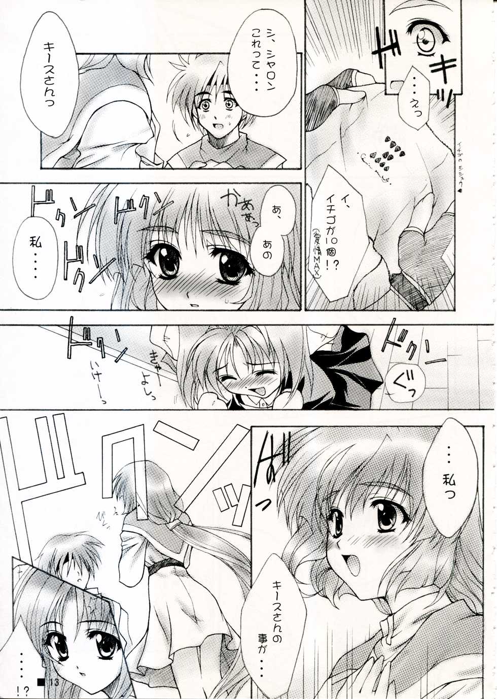(C58) [ZiP (Moekibara Fumitake)] TINY MAGIC (Shining Sword Romance) - Page 13