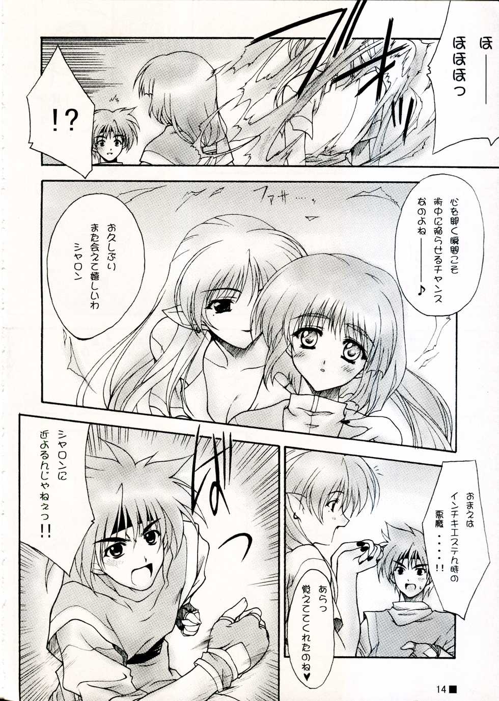 (C58) [ZiP (Moekibara Fumitake)] TINY MAGIC (Shining Sword Romance) - Page 14
