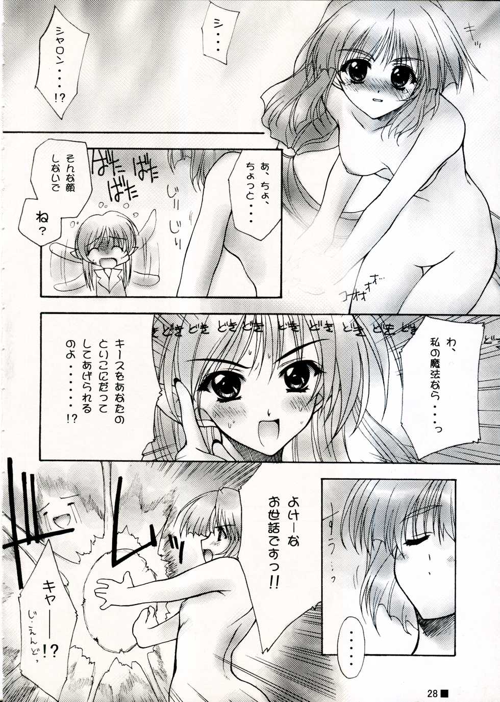 (C58) [ZiP (Moekibara Fumitake)] TINY MAGIC (Shining Sword Romance) - Page 28