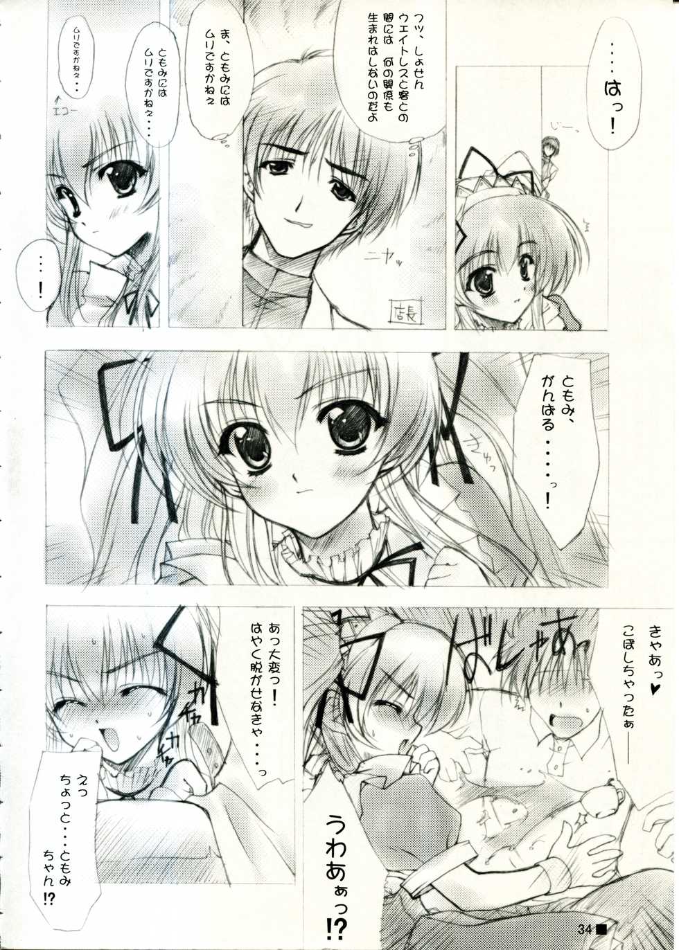(C58) [ZiP (Moekibara Fumitake)] TINY MAGIC (Shining Sword Romance) - Page 34
