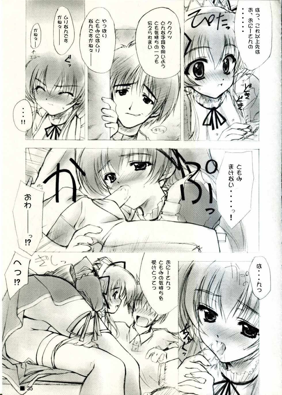 (C58) [ZiP (Moekibara Fumitake)] TINY MAGIC (Shining Sword Romance) - Page 35