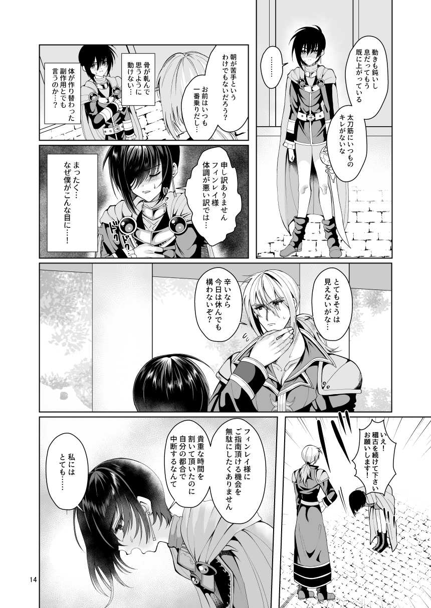 [Jinkenhakudatsu Kougeki (Jinkennashi Tarou)] ambivalence I (Tales of Destiny) [Digital] - Page 14