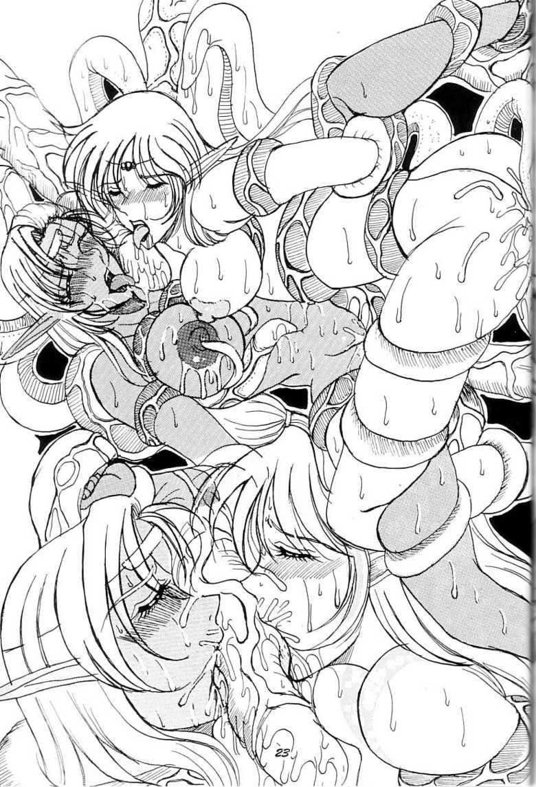 (C66) [White Elephant] Kyouen no Elf ~Shokushu Mashima Lodoss~ (Record of Lodoss War) - Page 22