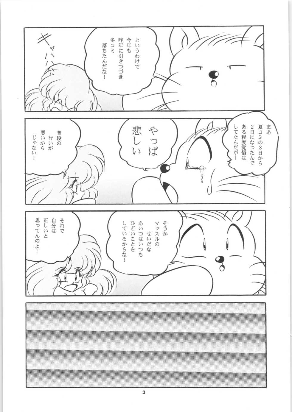 [C-COMPANY] C-COMPANY SPECIAL STAGE 17 (Ranma 1/2, Idol Project) - Page 5