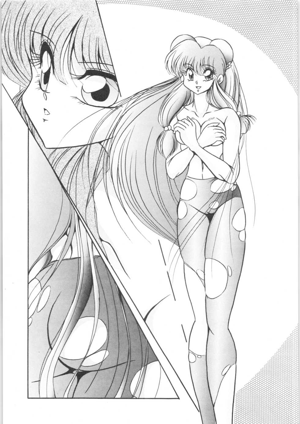 [C-COMPANY] Puchiguma Book 2 (Ranma 1/2) - Page 20
