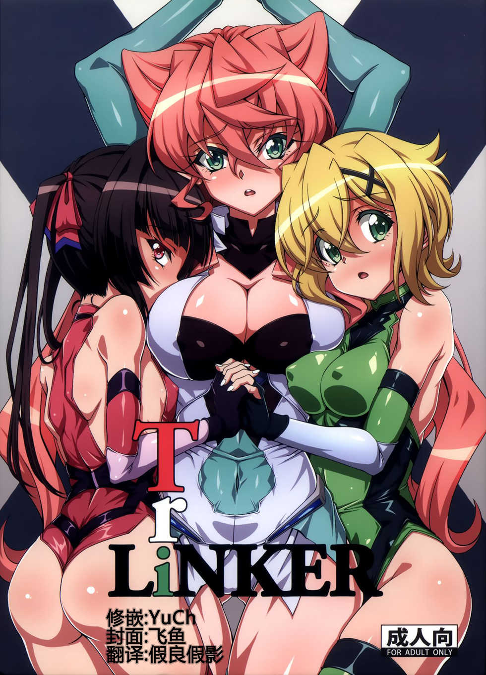 (C92) [CLOCK (Syunzo)] TriLiNKER (Senki Zesshou Symphogear) [Chinese] [假良假影个人汉化] - Page 2