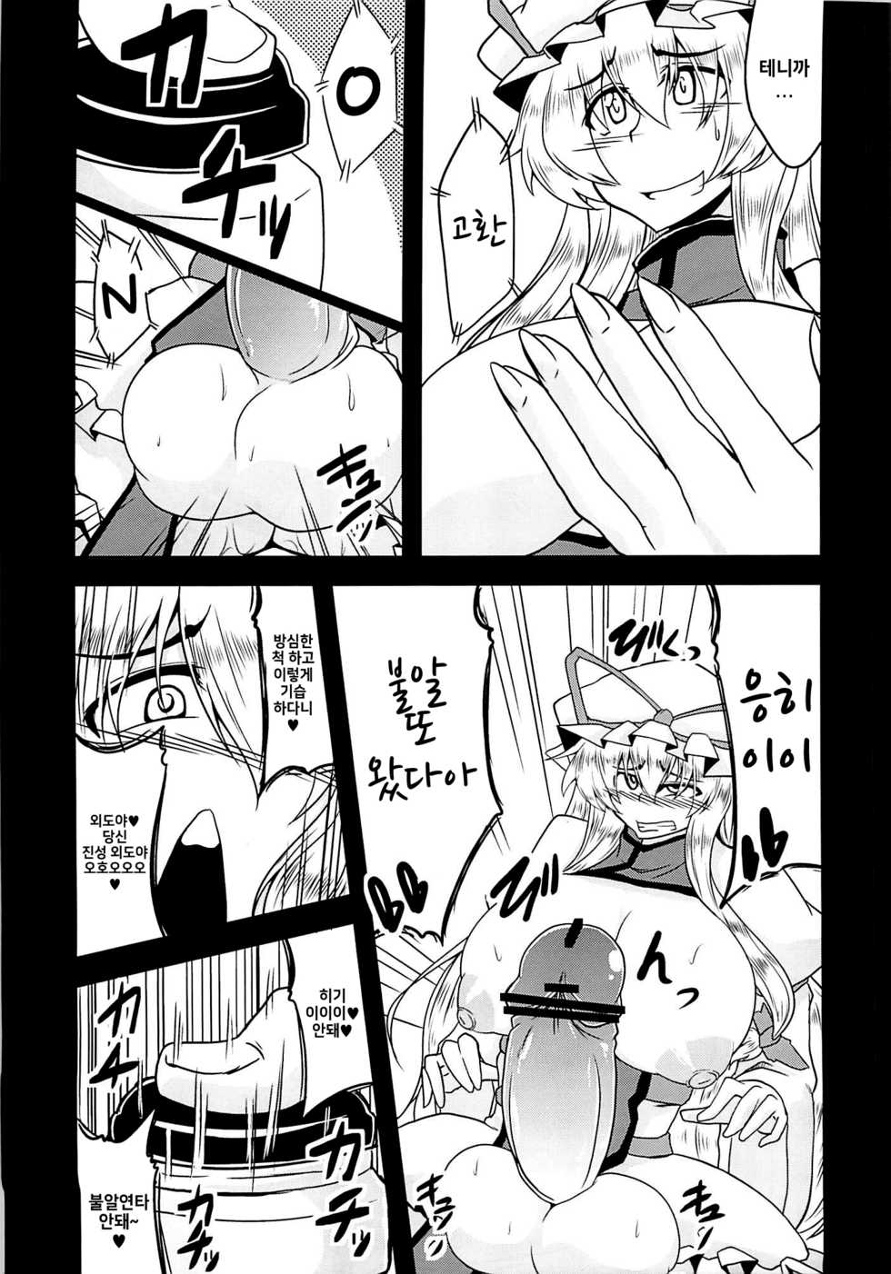 (C81) [Forever and ever... (Eisen)] Gensou Chinchin Monogatari (Touhou Project) [Korean] - Page 14