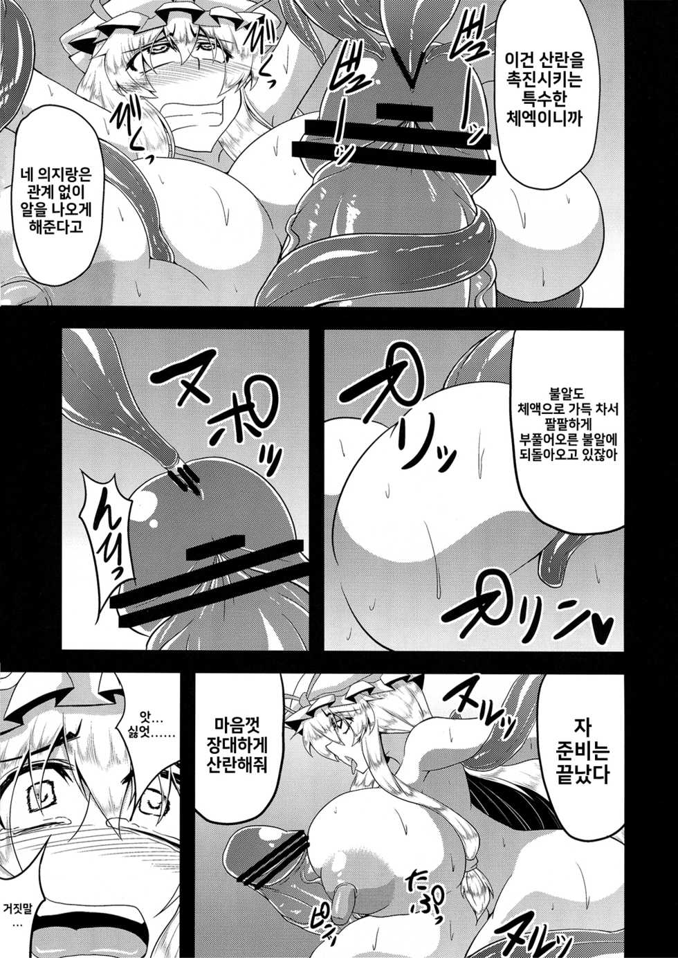 (C82) [Forever and Ever... (Eisen)] Gensou Chinchin Monogatari 3 (Touhou Project) [Korean] - Page 24