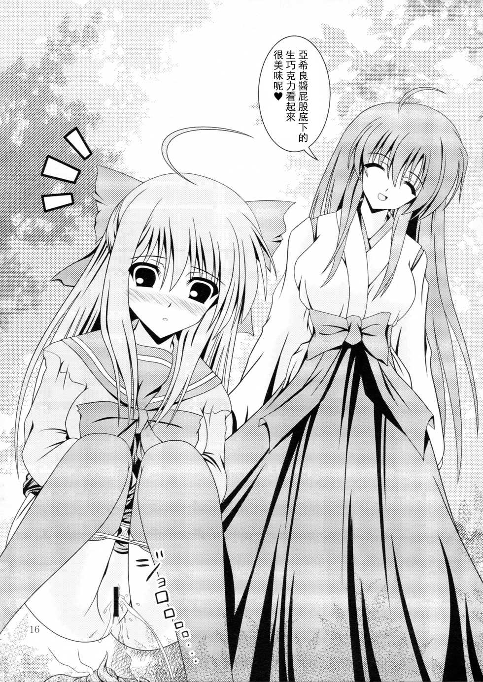 (C83) [Kyuushoku Dorobou (Murakumo)] RESUMPTION [Chinese] [臭鼬娘漢化組] - Page 16