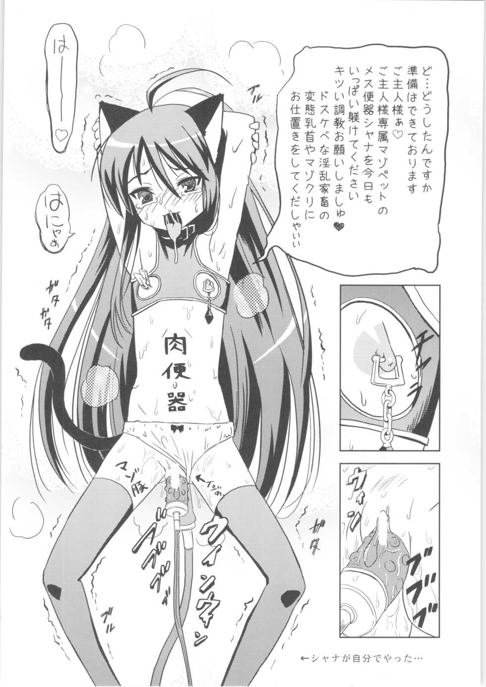 (C73) [Hanyan. (Nekomimi Kanon)] Hakugan @ Shana (Shakugan no Shana) - Page 23