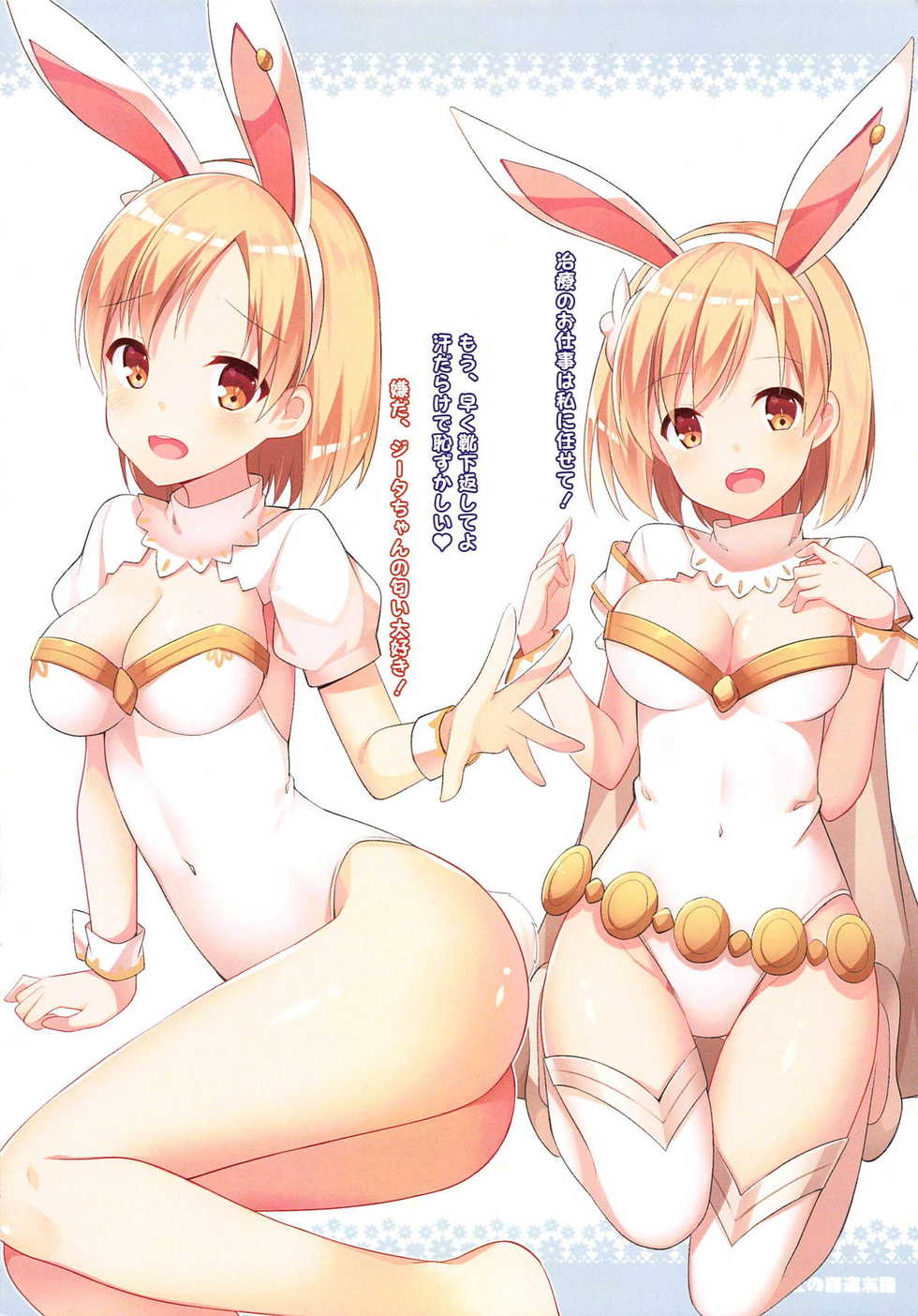 [Phantom Vibration Syndrome (Amemiya Luky)] shojokikuusi no zettaizetsumei (Granblue Fantasy) - Page 5