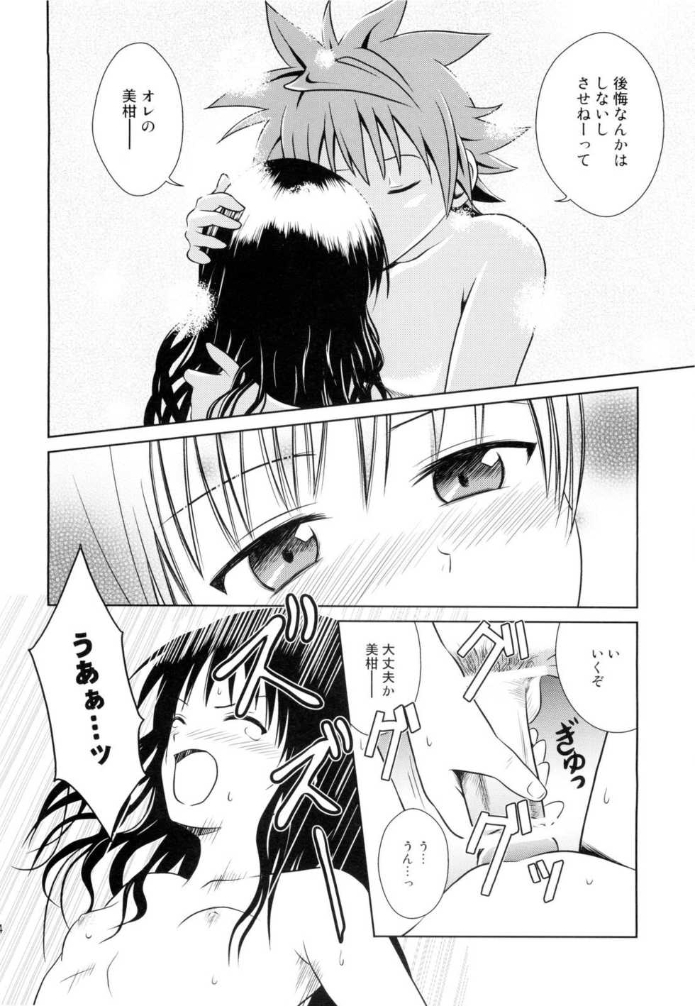 (C76) [Je T'aime (Mutsuki Lime)] Only When You Smile 3 (To Love-Ru) - Page 24