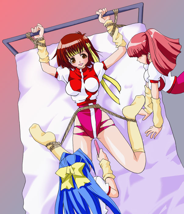 [Soratobu Umeboshi] Chakui Kinbaku Anime Chara CG Shuu ~HajiYuri~ (Various) - Page 30