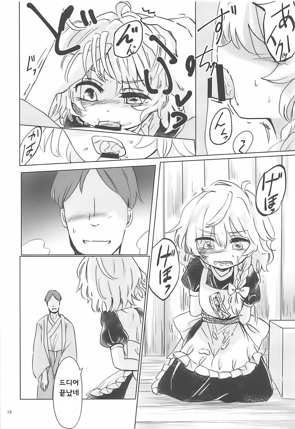 (Reitaisai 16) [AM:TIGER (Toran)] Nomahoutsukai no Dorobou Kagyou | 떠돌이마법사의 도둑질생활 (Touhou Project) [Korean] [웹게임 마이너 갤러리] - Page 12