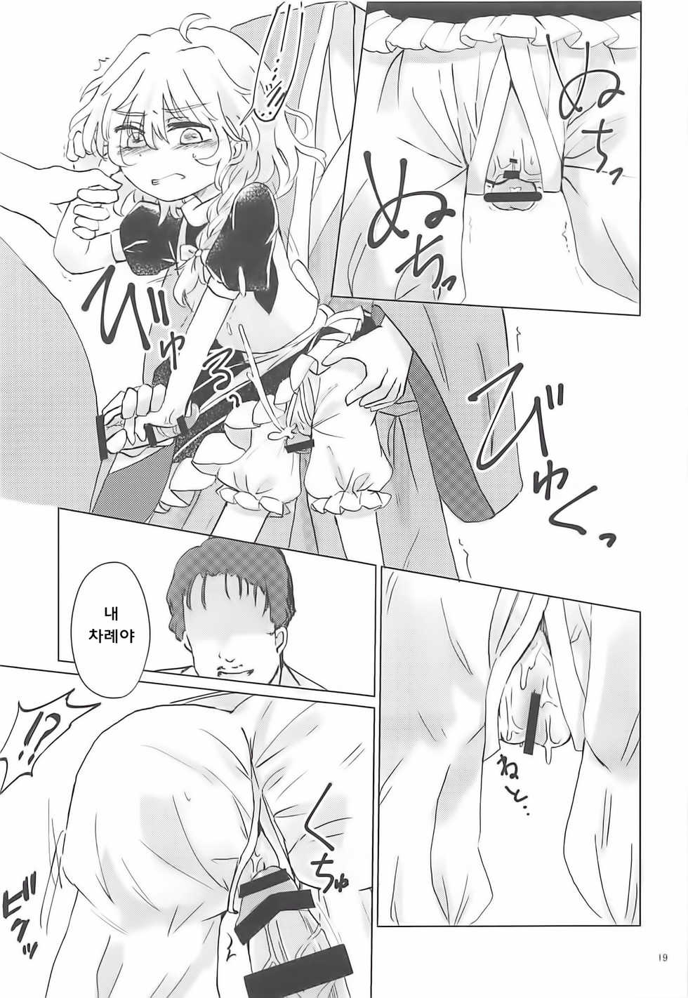 (Reitaisai 16) [AM:TIGER (Toran)] Nomahoutsukai no Dorobou Kagyou | 떠돌이마법사의 도둑질생활 (Touhou Project) [Korean] [웹게임 마이너 갤러리] - Page 19