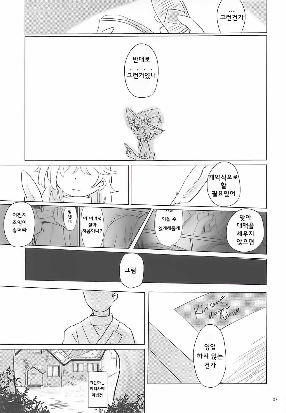 (Reitaisai 16) [AM:TIGER (Toran)] Nomahoutsukai no Dorobou Kagyou | 떠돌이마법사의 도둑질생활 (Touhou Project) [Korean] [웹게임 마이너 갤러리] - Page 27