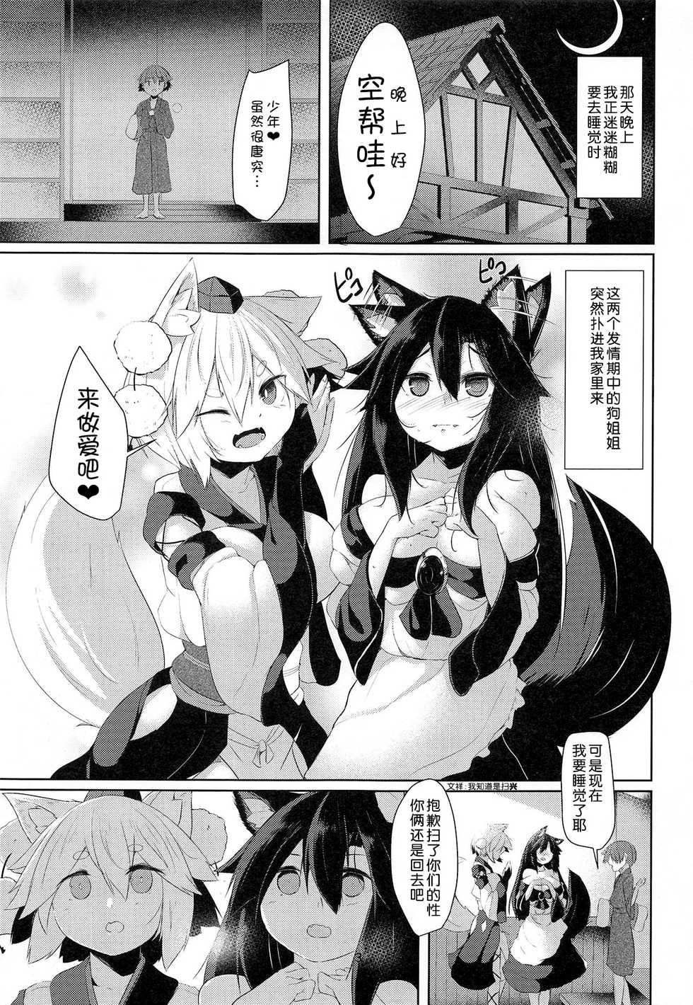 (Reitaisai 16) [Nanika no Heya (Hira)] Zoku Inu no Onee-chan-tachi no Hatsujou (Touhou Project) [Chinese] [狗东西汉化组] - Page 3