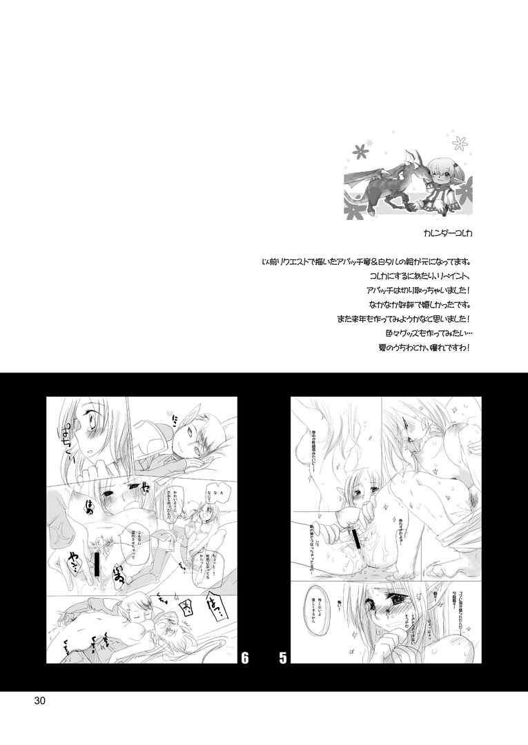 [Tsukareno (toroshio)] Hasami  (Final Fantasy XI) [Digital] - Page 30