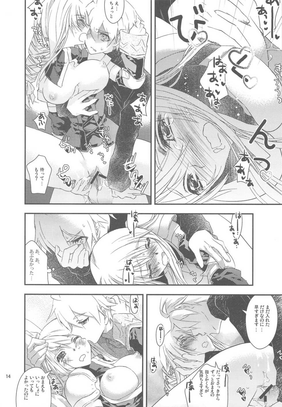 (C76) [Annin (Tooka)] Ninja Master (Final Fantasy Tactics) - Page 14
