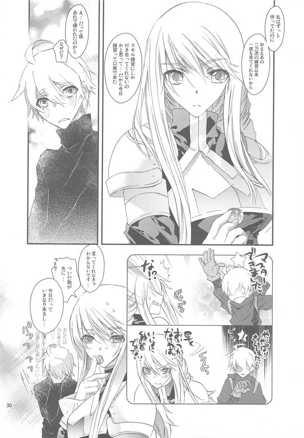 (C76) [Annin (Tooka)] Ninja Master (Final Fantasy Tactics) - Page 30