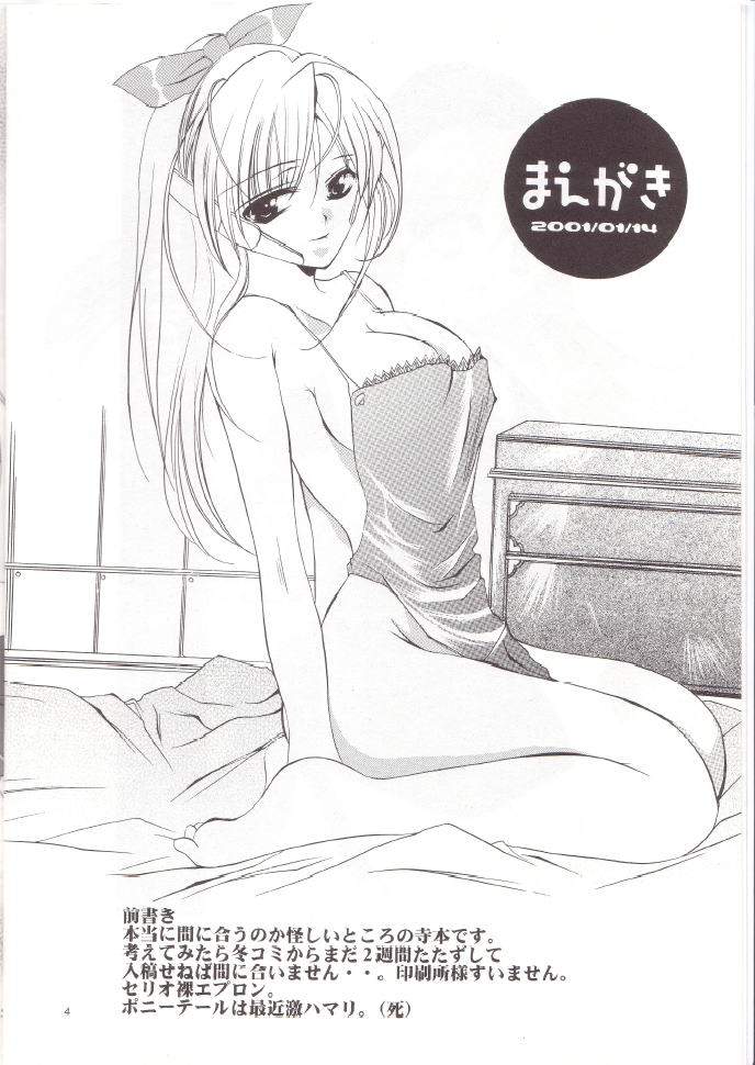 (SC10) [UA (Teramoto Kaoru)] Seri Mania (To Heart) - Page 3