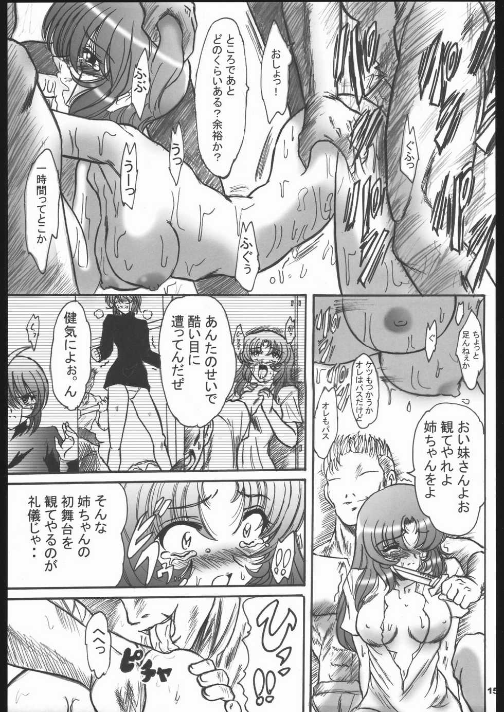 (C68) [L-Gauge Sha (Shouryuu)] SREX (Gundam SEED DESTINY) - Page 14