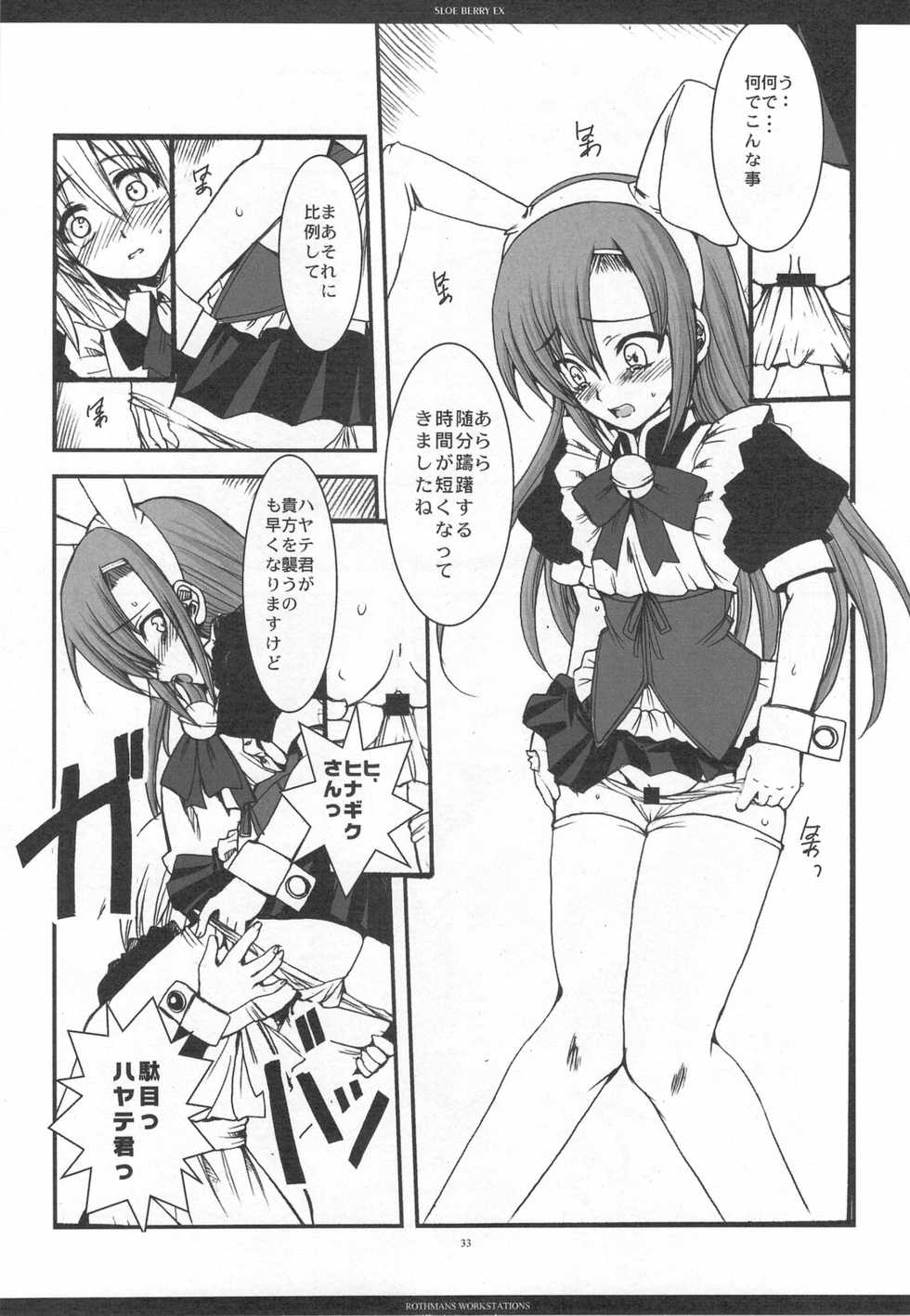 (C76) [R-WORKS (ROS)] SLOE BERRY EX (Hayate no Gotoku!) - Page 30
