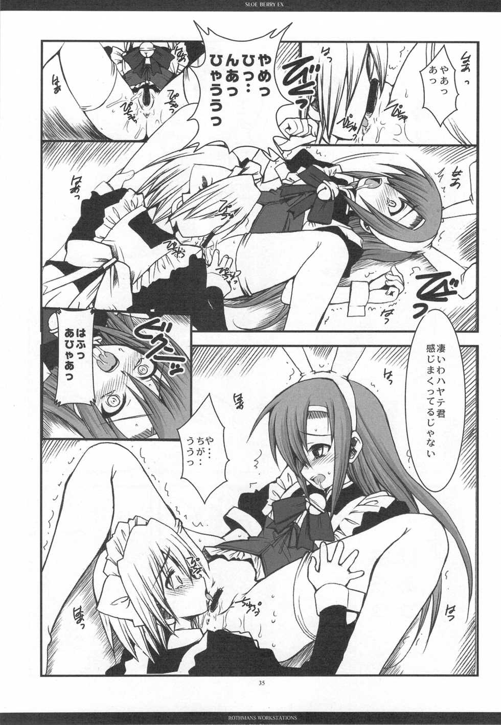(C76) [R-WORKS (ROS)] SLOE BERRY EX (Hayate no Gotoku!) - Page 32