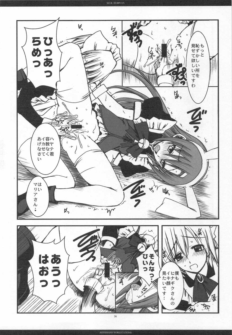 (C76) [R-WORKS (ROS)] SLOE BERRY EX (Hayate no Gotoku!) - Page 33