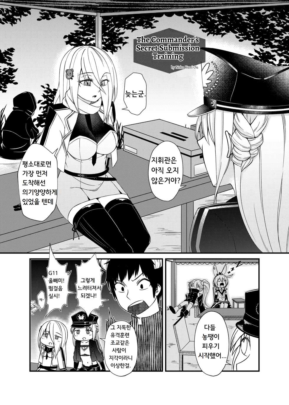 [TOMSETTW (ZEN, Neko Kuni Ou)] Toshiue Onee-san Doll no Himitsu Jouji (Girls' Frontline) [Korean] [Digital] - Page 22