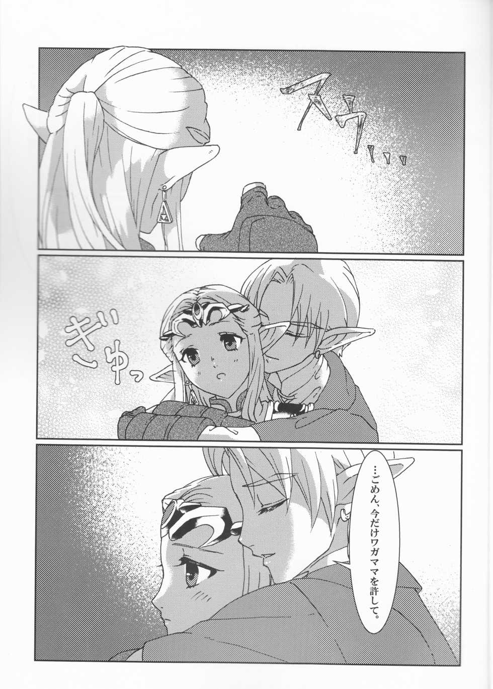 (ALL STAR 8) [MYLAB (Shiroa Urang)] Sadalmelek (The Legend of Zelda) - Page 10