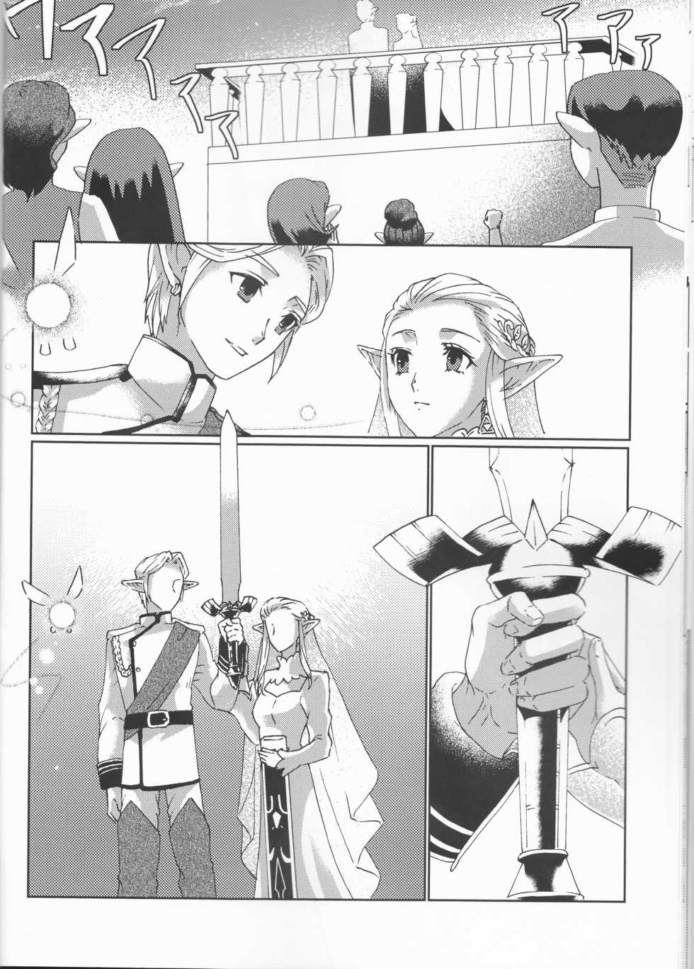 (ALL STAR 8) [MYLAB (Shiroa Urang)] Sadalmelek (The Legend of Zelda) - Page 25