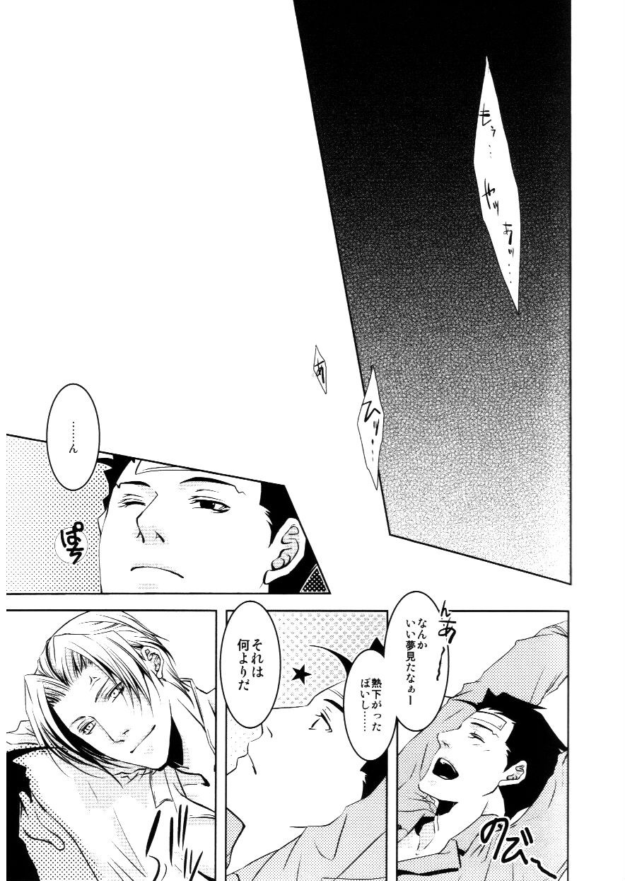 [Byakuya (Yukari)] Kazehiki Ryuu-chan (Ace Attorney) - Page 20