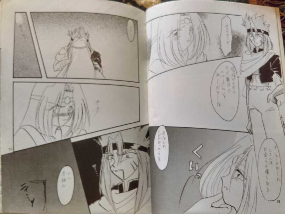 (C53) [Anikigaiku] Jiboujiki (Slayers) - Page 3