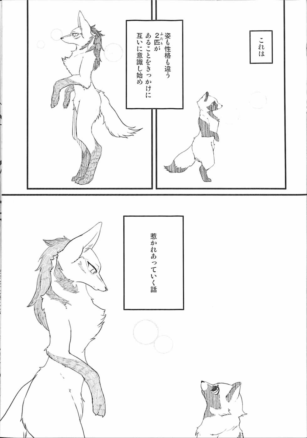 (Kemoket 6) [Anchabi (Bullion, Yamitori)] Ore no BL Hon ga Konna ni Usui Wake ga Nai 3 - Page 34