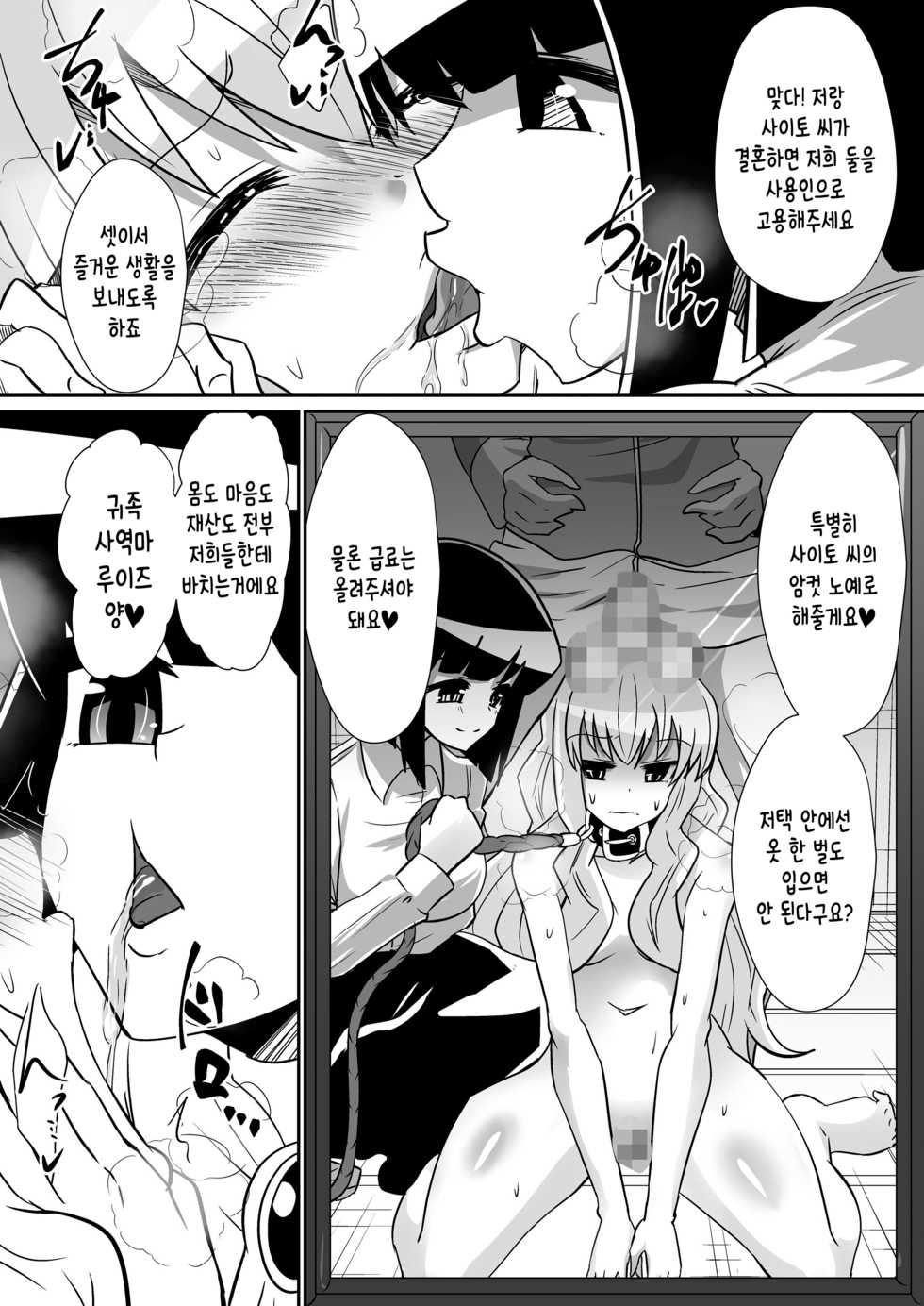 [Shihai Shoujo (Dining)] Louise ga Shoukan sareru Hanashi (Zero no Tsukaima) [Korean] - Page 28