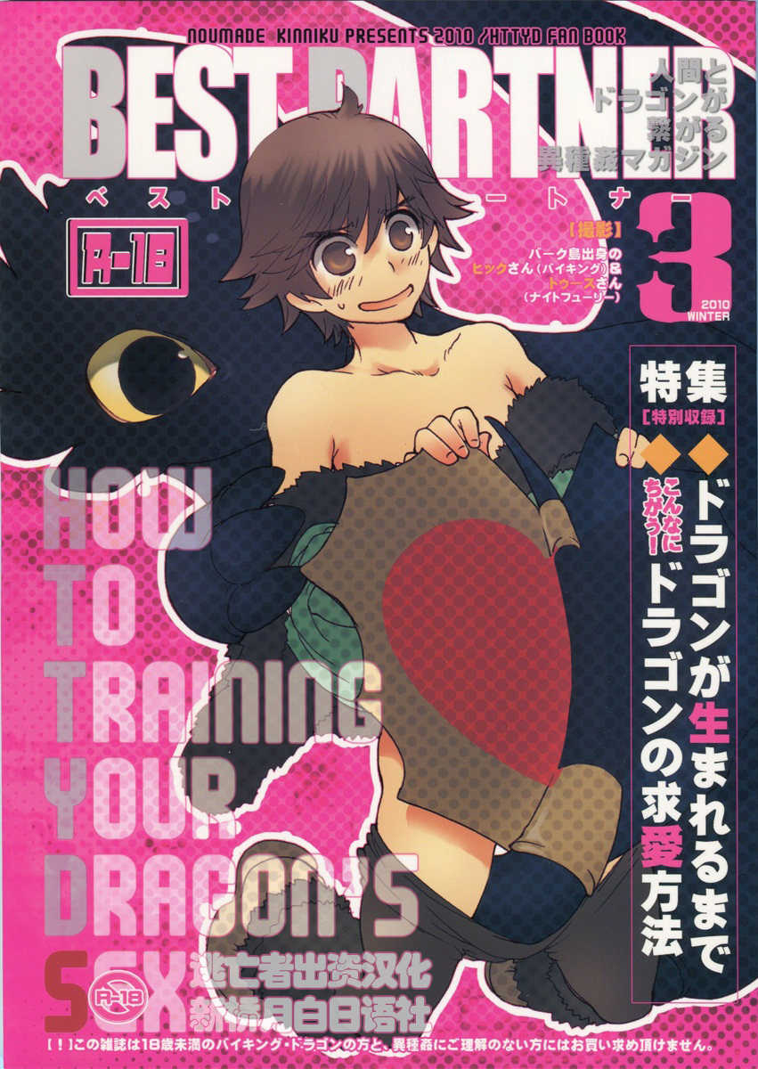 (C79) [Kon'na Tokoro no Kin'niku made Kitaeru nante... (Sugoi Kin'niku)] BEST PARTNER3 (How to Train Your Dragon) [Chinese] [逃亡者x新桥月白日语社汉化] - Page 1