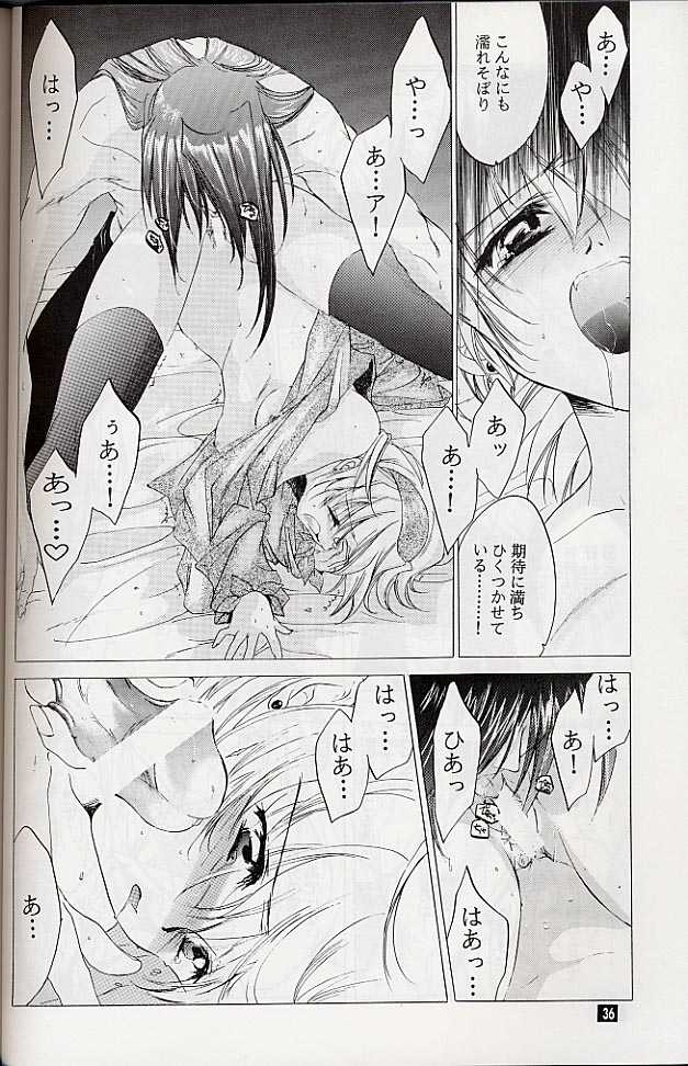 (C58) [Toko-ya (Kitoen)] Ware wa Kurashi, Saredo Uruwashi (Breath of Fire IV) - Page 35