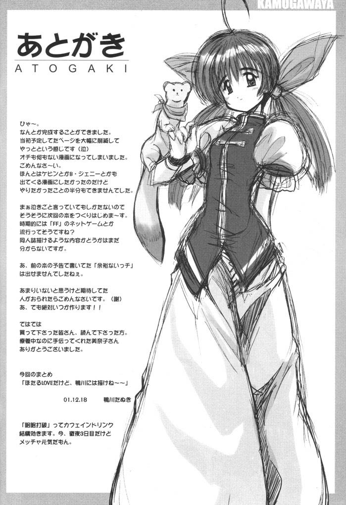 (C61) [Kamogawaya (Kamogawa Tanuki)] Oniichan Gomen ne (Fatal Fury) - Page 19